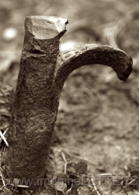 Wall_Art_Alphabet_Photography_Art_ 1920.jpg